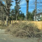Creation_Care_Debris_IMG_0246