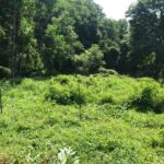 Creation_Care_Seven_Acre_Wood_IMG_4806