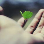 hand-and-leaf-AdUs32i0jc-unsplash-2000